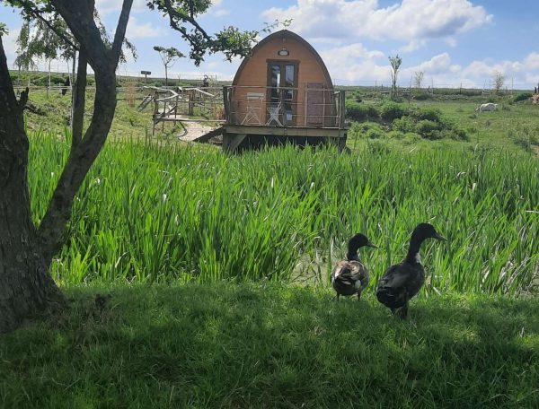 20220611_155823-scaled