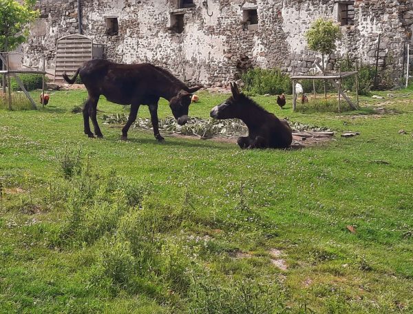 20220614_161508-scaled