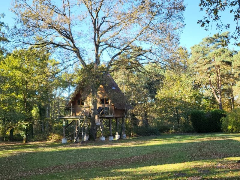 Cabane dans les arbres à Hauts-de-France, perchée au milieu dun parc verdoyant.