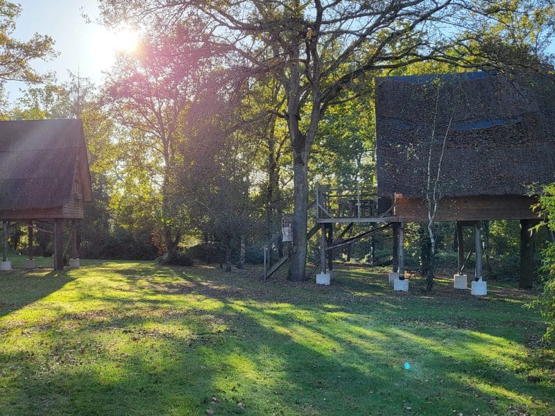Cabane perchée dans les arbres, entourée de verdure et de lumière naturelle.