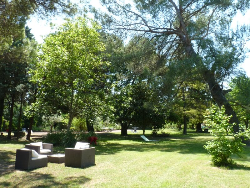 Hébergement en plein air avec salon de jardin, entouré darbres verdoyants.