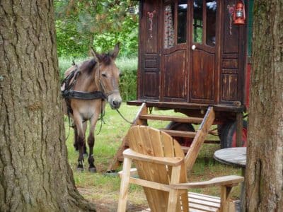 Hébergement insolite en Bretagne : une roulotte en bois près dun cheval et dune chaise.