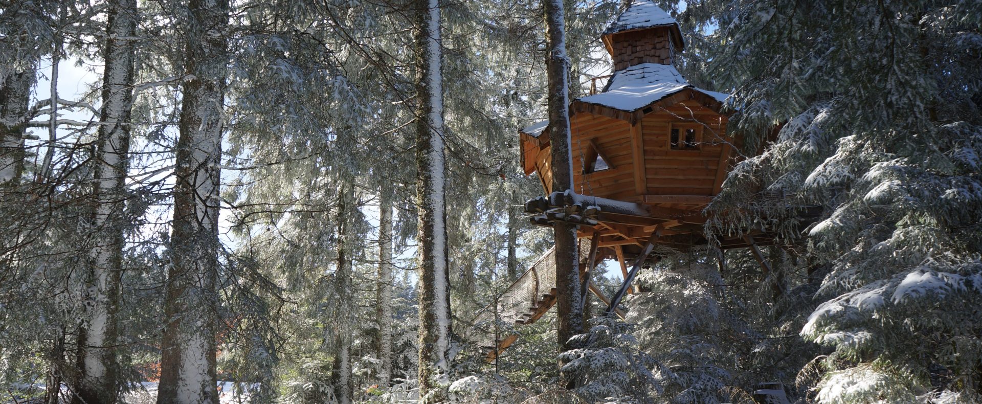 Cabane dans un arbre sous la neige en Auvergne aux Cabanes des Volcans