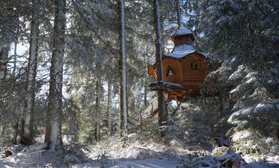 Cabane dans un arbre sous la neige en Auvergne aux Cabanes des Volcans