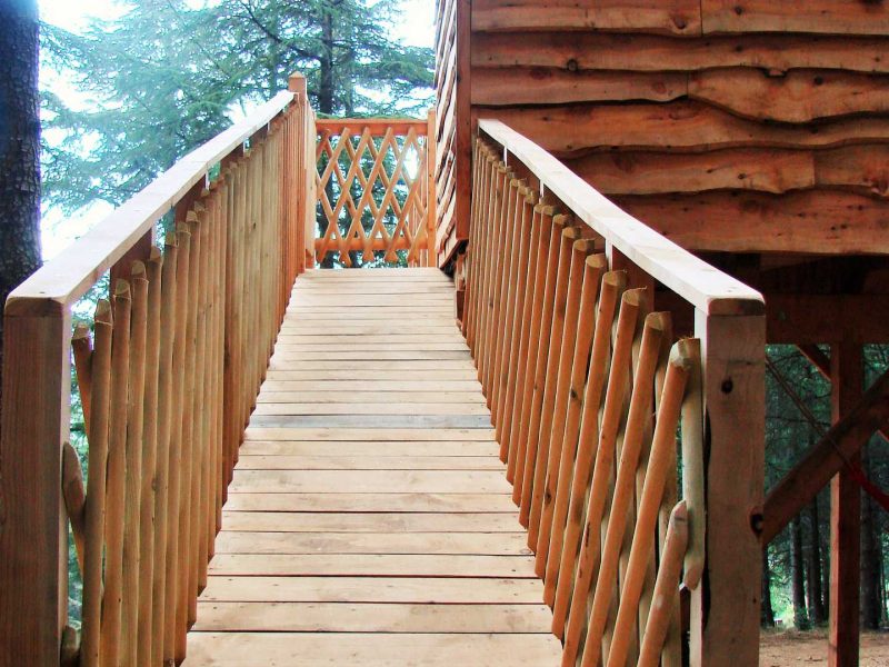 Cabane dans les arbres avec un pont en bois menant à lentrée, entourée de forêt.