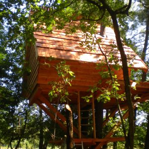 Cabane dans les arbres en bois, perchée au milieu dune forêt verdoyante.