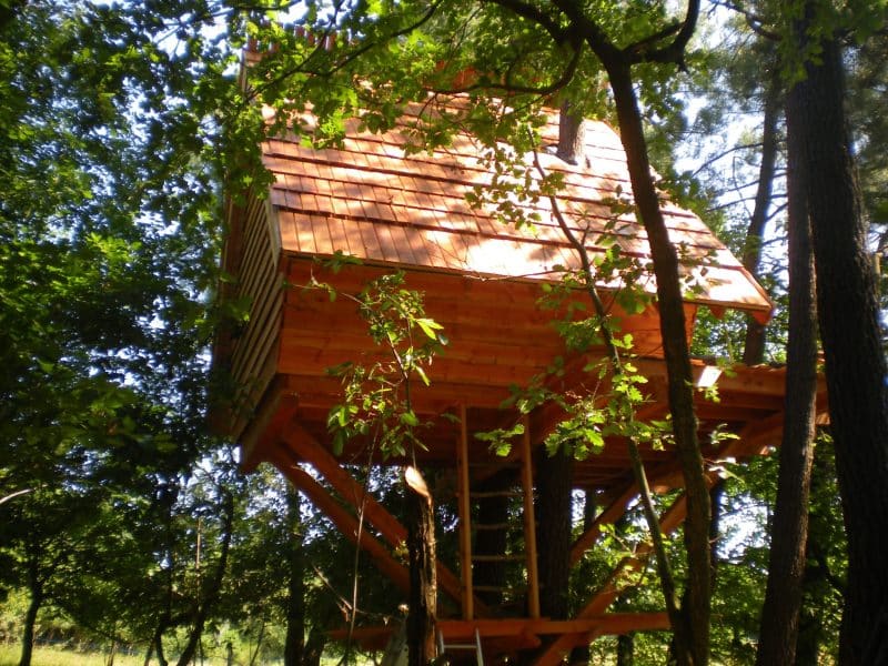 Cabane dans les arbres en bois, perchée au milieu dune forêt verdoyante.