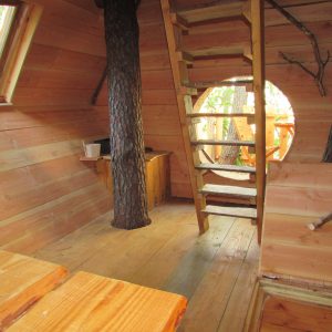 Cabane dans les arbres avec un intérieur en bois et une fenêtre ronde.