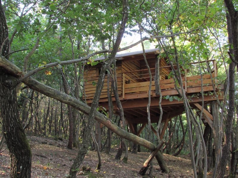 Cabane dans les arbres, perchée entre les feuillages verdoyants.