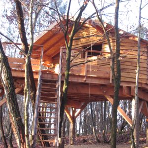 Cabane en bois perchée dans les arbres, avec une terrasse en bois et des escaliers.