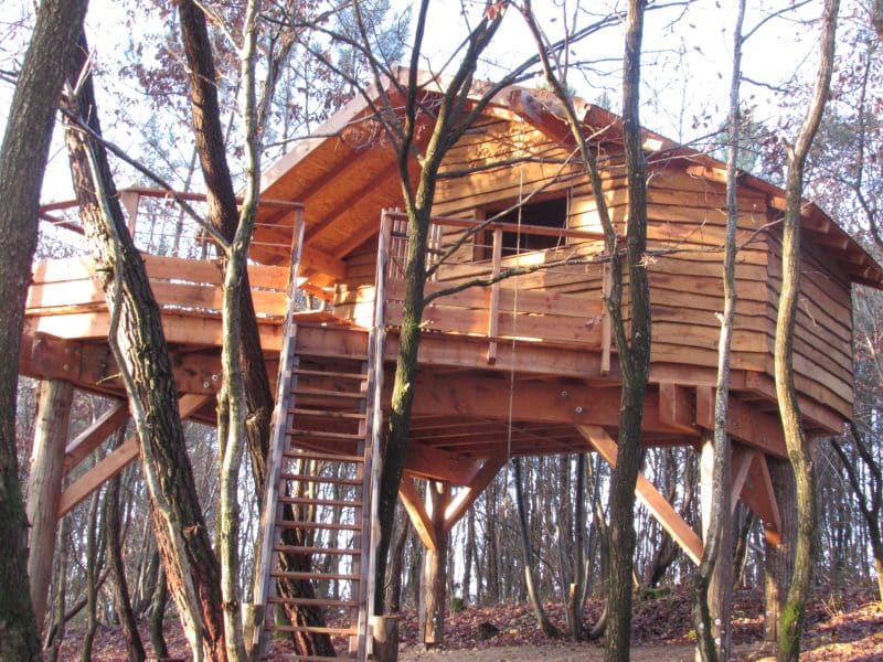 Cabane en bois perchée dans les arbres, avec une terrasse en bois et des escaliers.