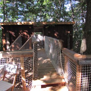 Cabane dans les arbres avec une passerelle en bois et un cadre verdoyant.