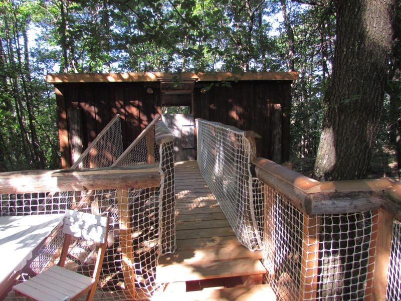 Cabane dans les arbres avec une passerelle en bois et un cadre verdoyant.