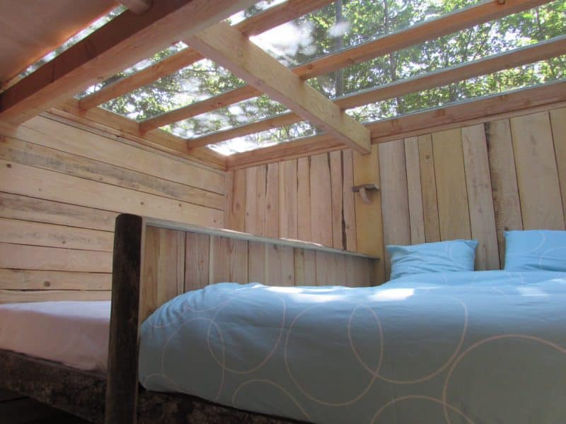 Cabane en bois avec lit confortable et toit en verre, entourée de verdure.
