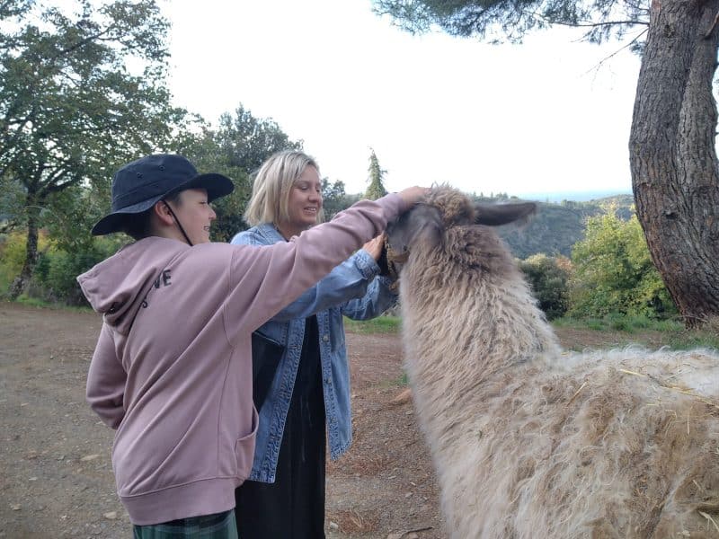 Hébergement en pleine nature avec des visiteurs caressant un lama. Ambiance conviviale.