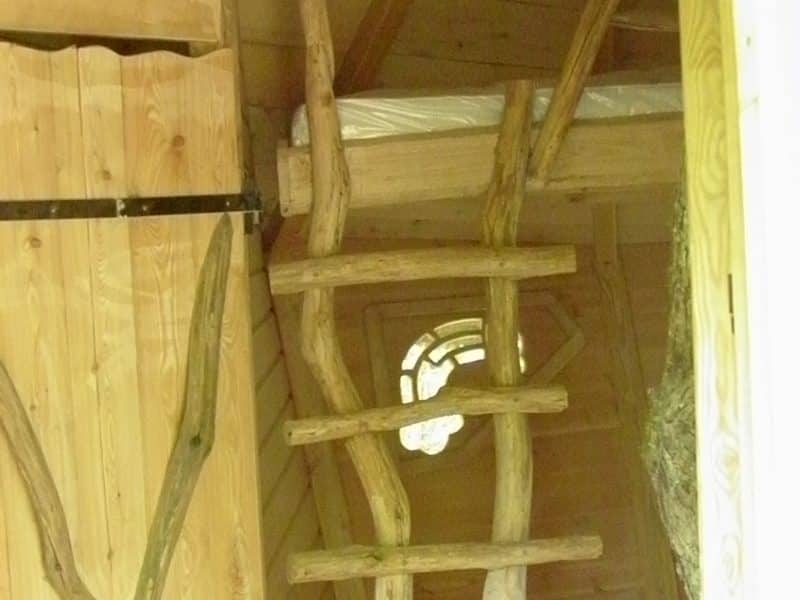 Cabane en bois avec échelle en branches et fenêtre ronde accueillante.
