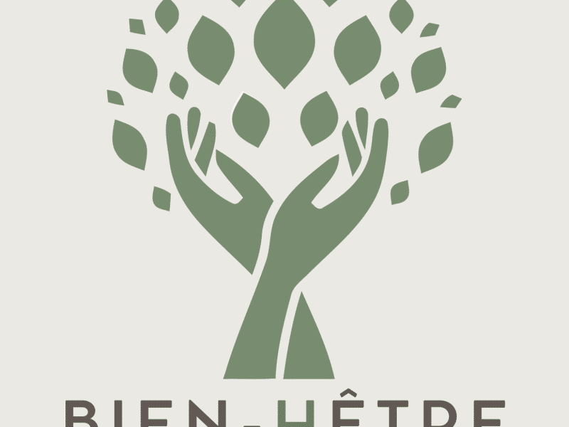 Logo dun hébergement écologique, représentant des mains et un arbre stylisé.