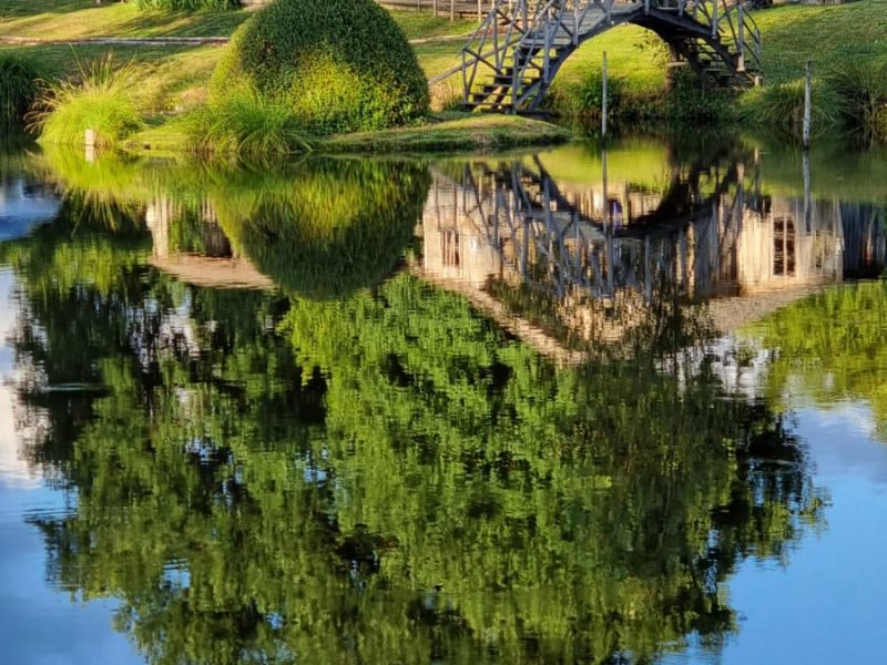 Hébergement insolite en cabane au bord dun étang, reflet paisible des arbres.