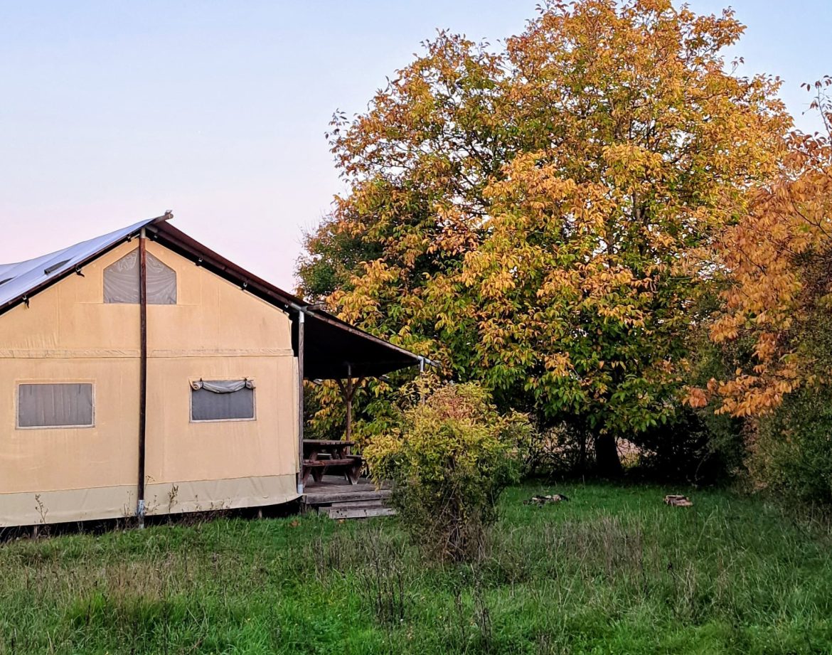 Safari-lodge-automne