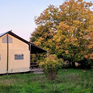 Safari-lodge-automne