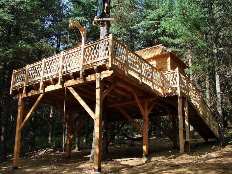 Cabane perchée en bois, entourée de sapins, avec une grande terrasse en bois.