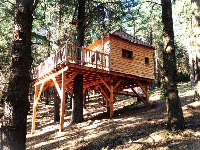 Cabane perchée en bois, entourée de grands arbres, offrant une vue sur la forêt.