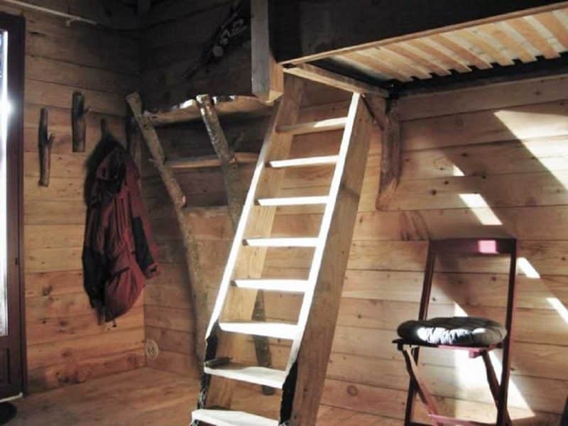 Chalet en bois avec échelle menant à une mezzanine, ambiance chaleureuse et rustique.