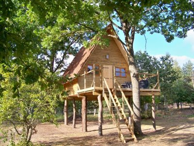 Cabane perchée en bois dans les arbres, entourée de verdure à Hauts-de-France.