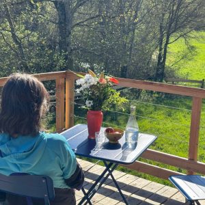 la-cabane-nature_Ecogites-dans-les-Hautes-Alpes10