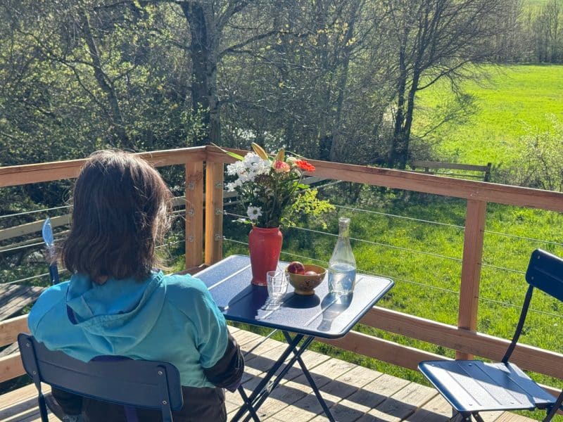 Chalet en pleine nature avec terrasse, vue sur un champ verdoyant et fleurs.