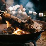 Family Ecolodge Puisaye