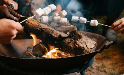 Family Ecolodge Puisaye