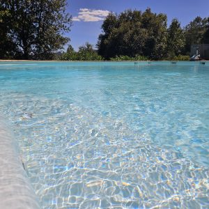 Hébergement touristique avec piscine claire, entourée de verdure et ciel bleu.