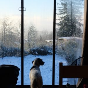 7D66E740-5396-4826-BEA9-2757B0467FCB-11857-000001B94EA28E68