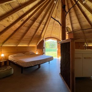 995d2f53-baa3-4a0a-abd0-d001c5ba5a46