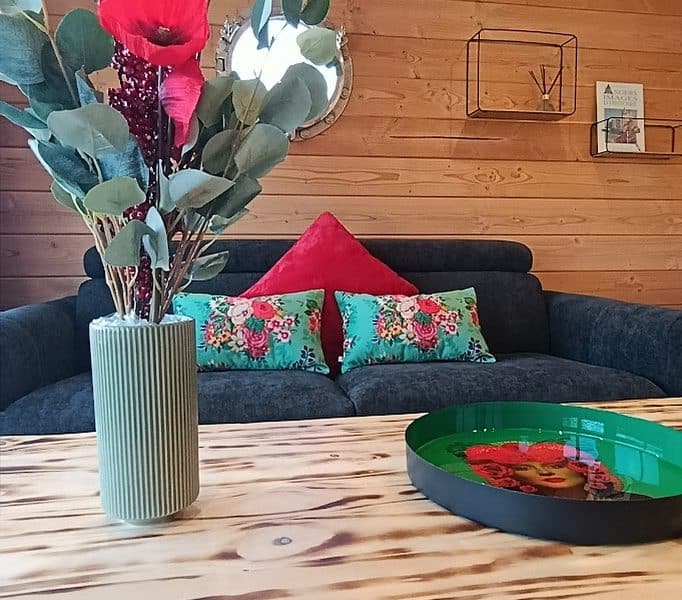 Chalet cosy avec un salon en bois, décoré de fleurs et coussins colorés.