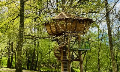 La Pitalaya – Les Cabanes de Pyrène