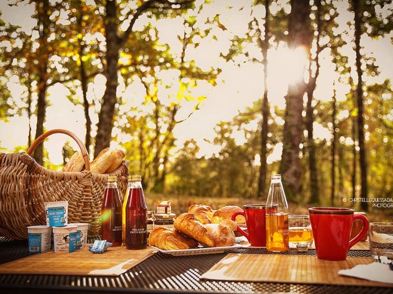 Pique-nique en pleine nature avec des viennoiseries et boissons, ambiance chaleureuse.