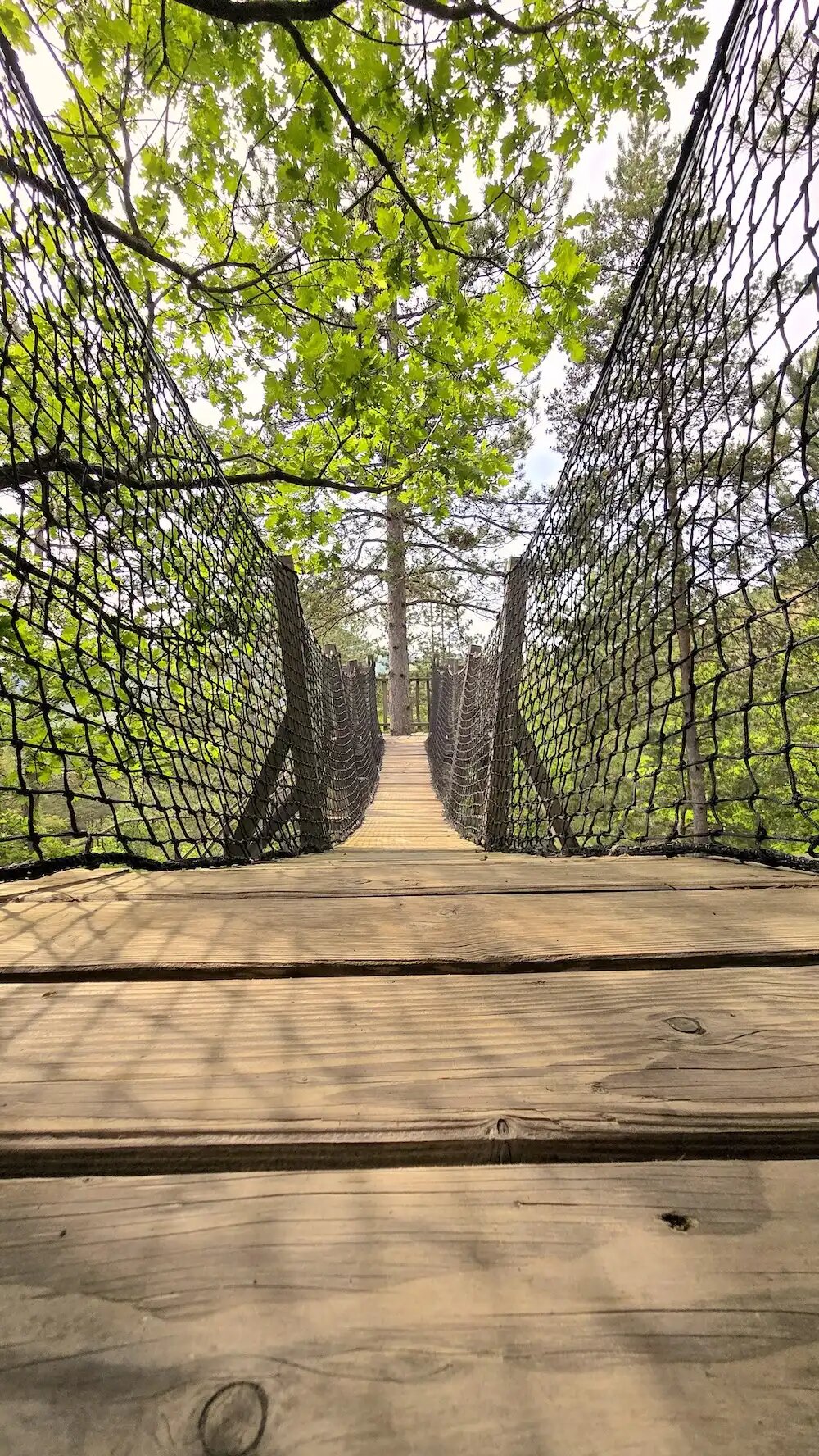 20250519_164402 2 Pont suspendu en bois menant à un hébergement insolite en pleine nature.