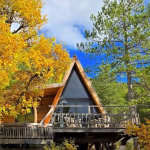 20251026_122526 2 copie