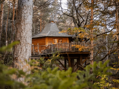 Cabane perchée en bois, entourée de verdure, offrant une vue paisible sur la forêt.