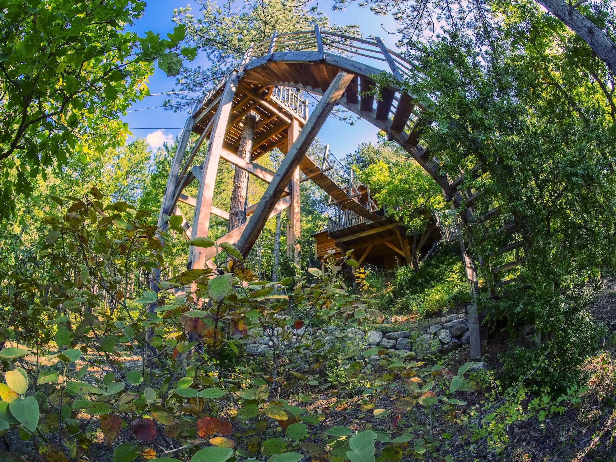 840D0F93-C6B4-445E-A5B2-EEC8E21ABF96 Cabane perchée en bois, suspendue entre les arbres, entourée de verdure luxuriante.