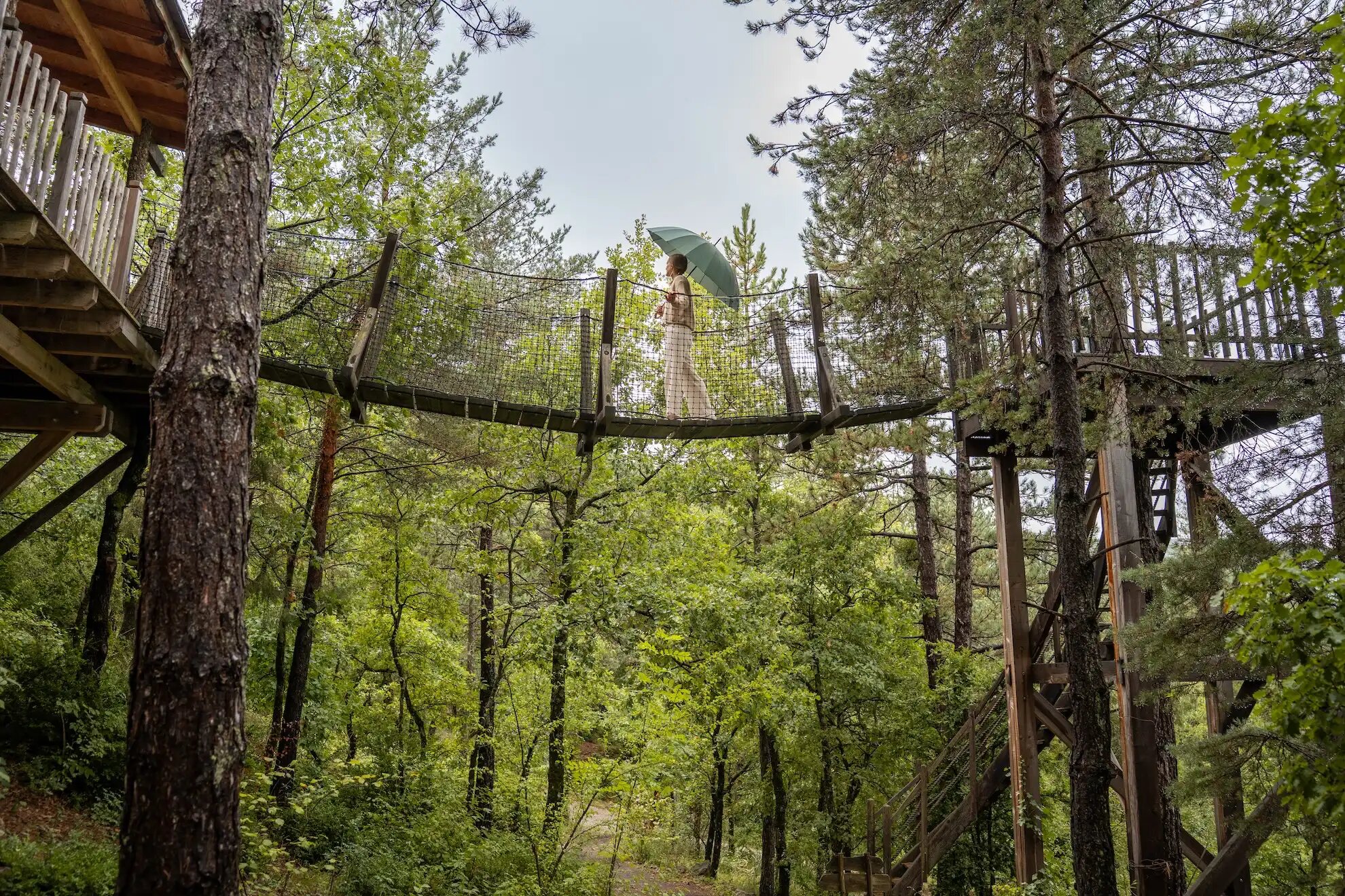 ALPINEST-20 Cabane perchée dans les arbres, accessible par un pont suspendu en pleine forêt.