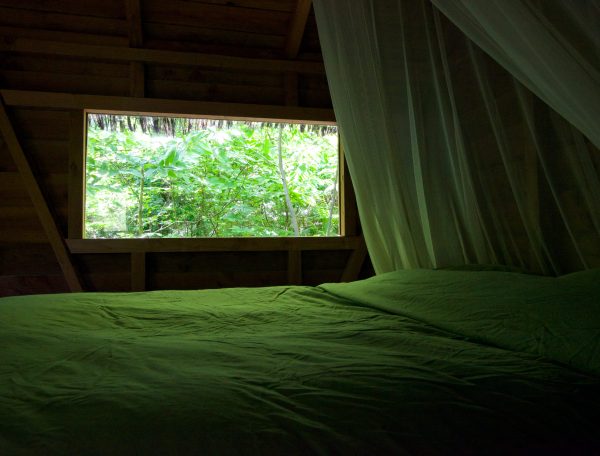 Chalet en bois avec lit double et vue sur la verdure luxuriante à lextérieur.