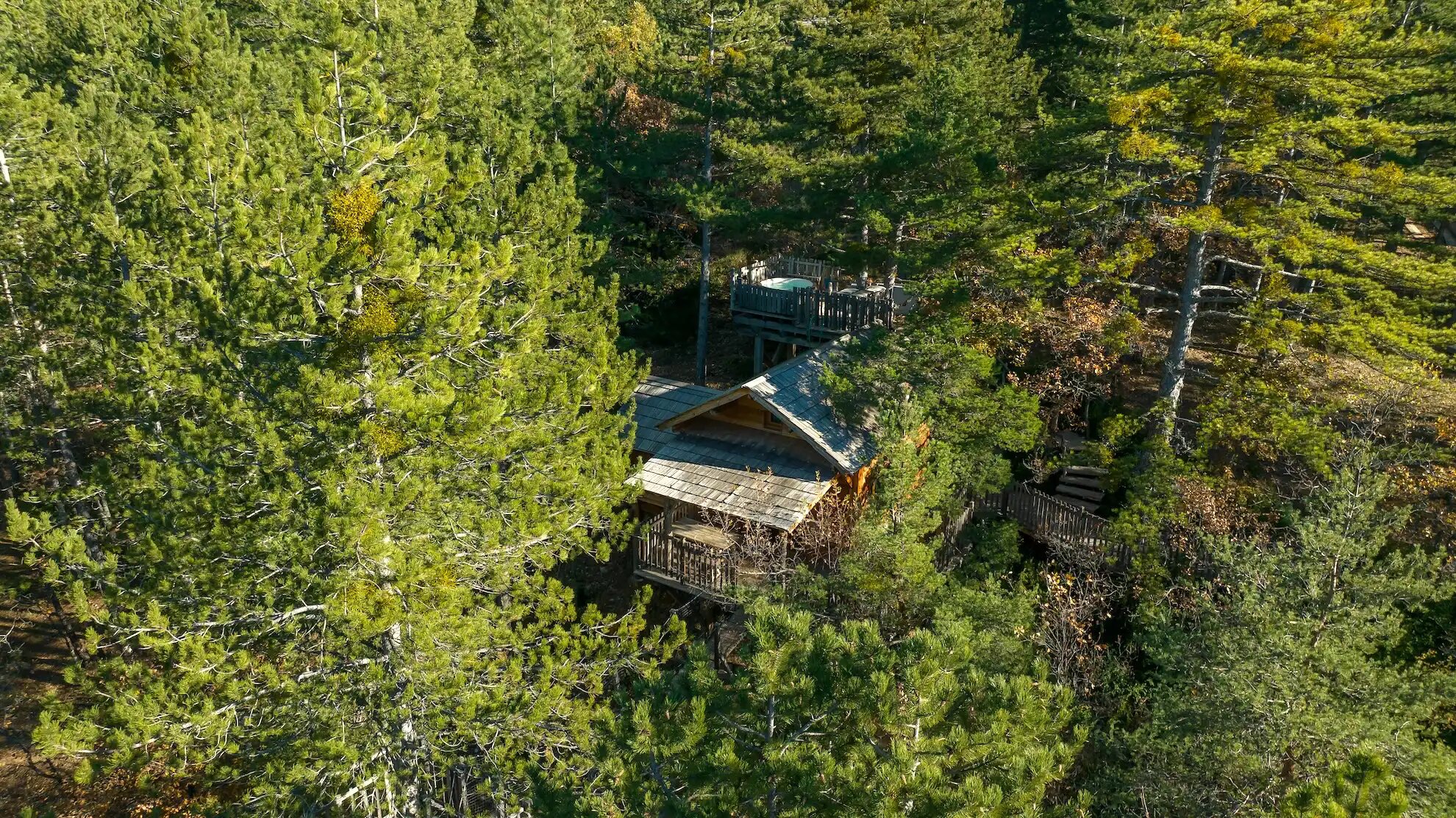 DJI_0068 Cabane perchée dans les arbres, entourée de pins majestueux en Provence-Alpes-Côte dAzur.