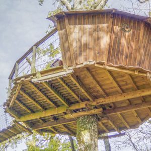 Cabane perchée en bois, suspendue dans les arbres, offrant une vue panoramique.