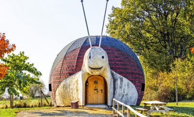 Maison Escargot 6 personnes – Domaine de Dienné