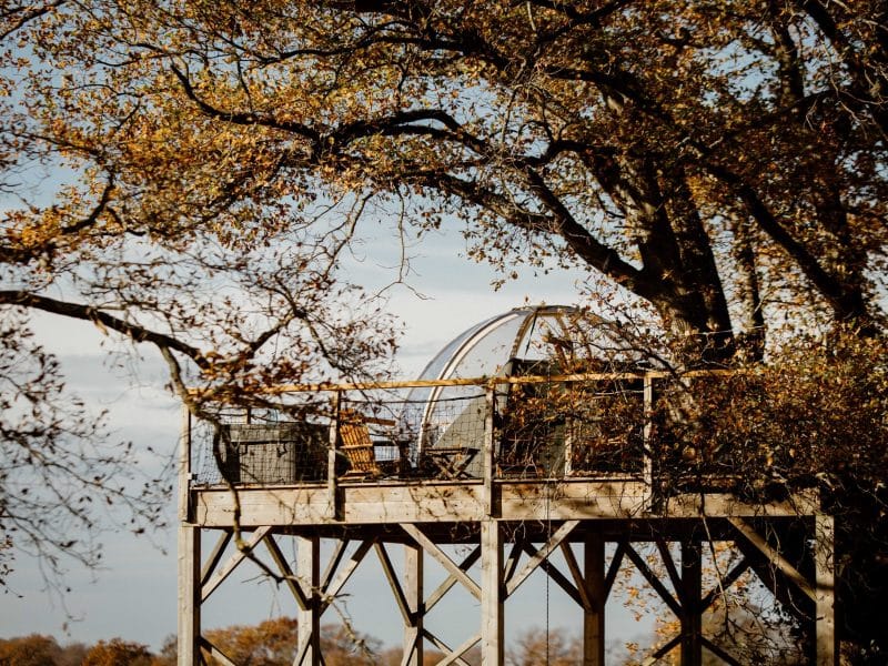 Cabane perchée dans les arbres, avec une vue dégagée et des chaises confortables.