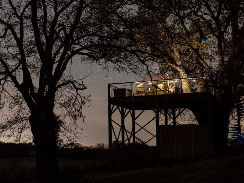 Cabane perchée dans les arbres, éclairée sous un ciel étoilé, offrant une vue paisible.