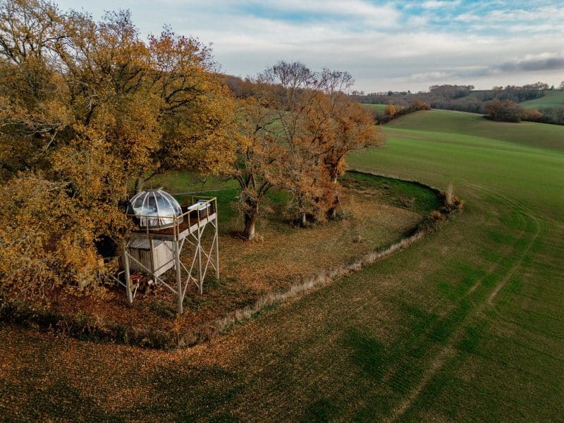 Cabane perchée dans un arbre, entourée de champs verdoyants et darbres dorés.